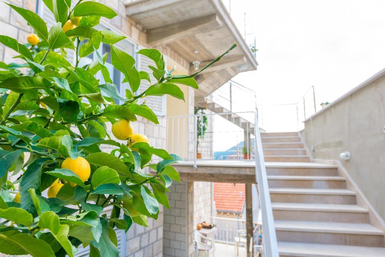 Seagulls Blue Bay Apartments Dubrovnik Exterior photo